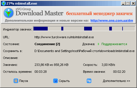 Информационное окно закачки Download Master